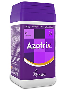 AZOTRIX-1 LTR