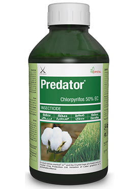 Predator-1 LTR