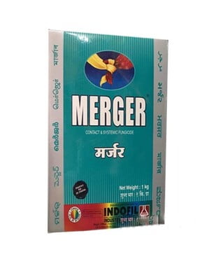 MERGER-500 GM MERGER-500 GM