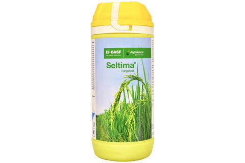 BASF Launches Seltima Fungicide in Indonesia - AgriBusiness Global