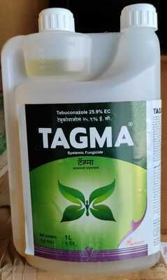 TAGMA-1 LTR