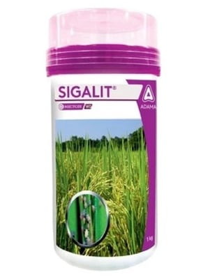 SIGALIT-250 GM SIGALIT-250 GM
