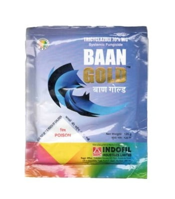 BAAN GOLD-120 GM