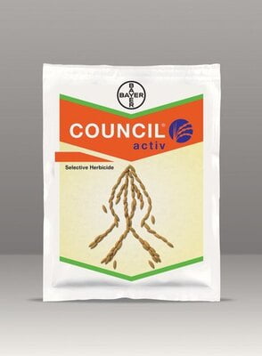 COUNCIL-45 GM