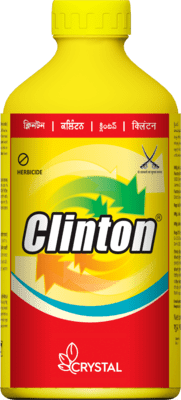 Clinton-5 LTR