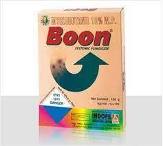 BOON-100 GM