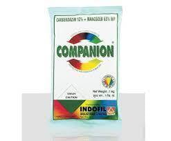 COMPANION-100 GM COMPANION-100 GM