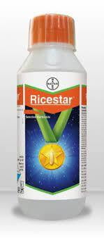 RICESTAR-100 ML