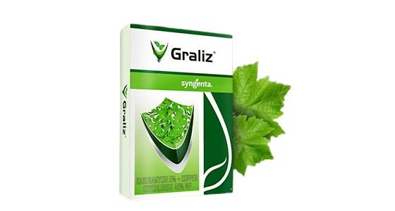 Graliz
