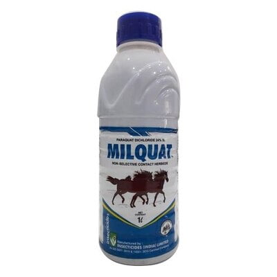 MILQUAT-1 LTR
