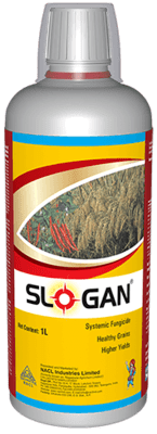SLOGAN-1 LTR