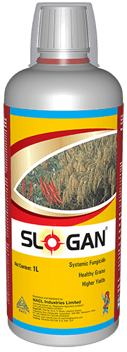 SLOGAN-1 LTR